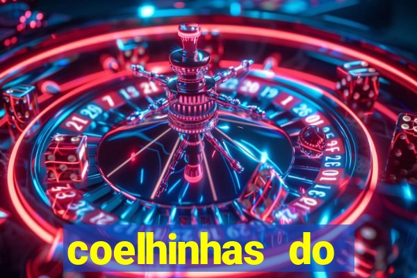 coelhinhas do brasil recife